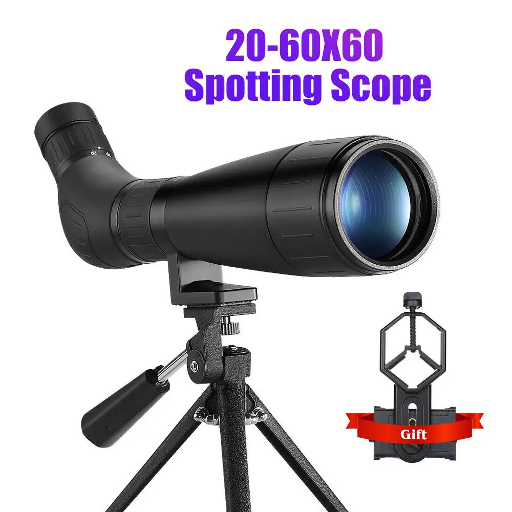 s-l1600 (5)