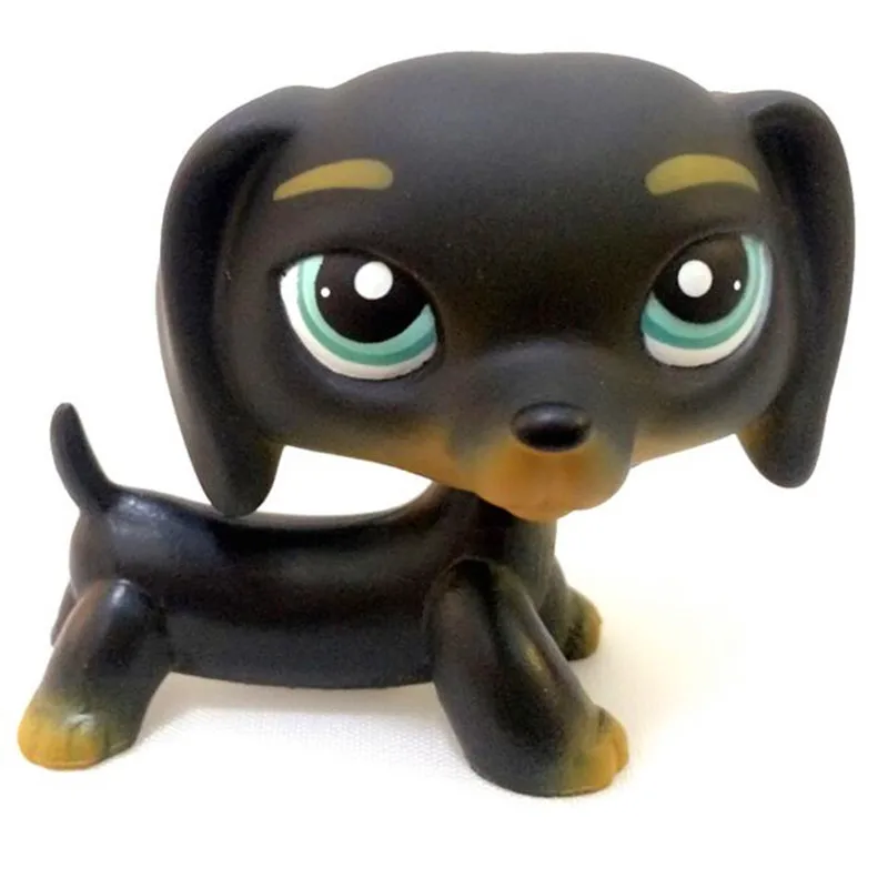 Pet shop Rare black blue striped eyes sausage Short Hair dog action figure Collection classic