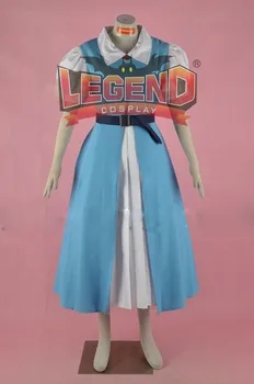 

The Legend of Zelda A Link Between Worlds Princess Zelda Cosplay costume dress custom made