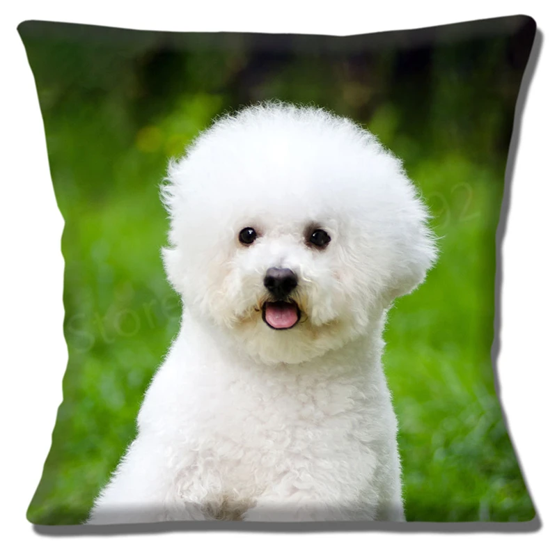 

Cute Bichon Frise Puppy Dog Cushion Cover Throw Pillow Case Green Bichon Frise Photo Printed Soft Outdoor Pillows Sham Decor 18"