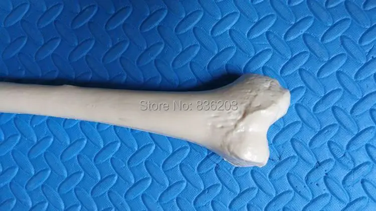 TB23ikkoJcnBKNjSZR0XXcFqFXa_!!478904890