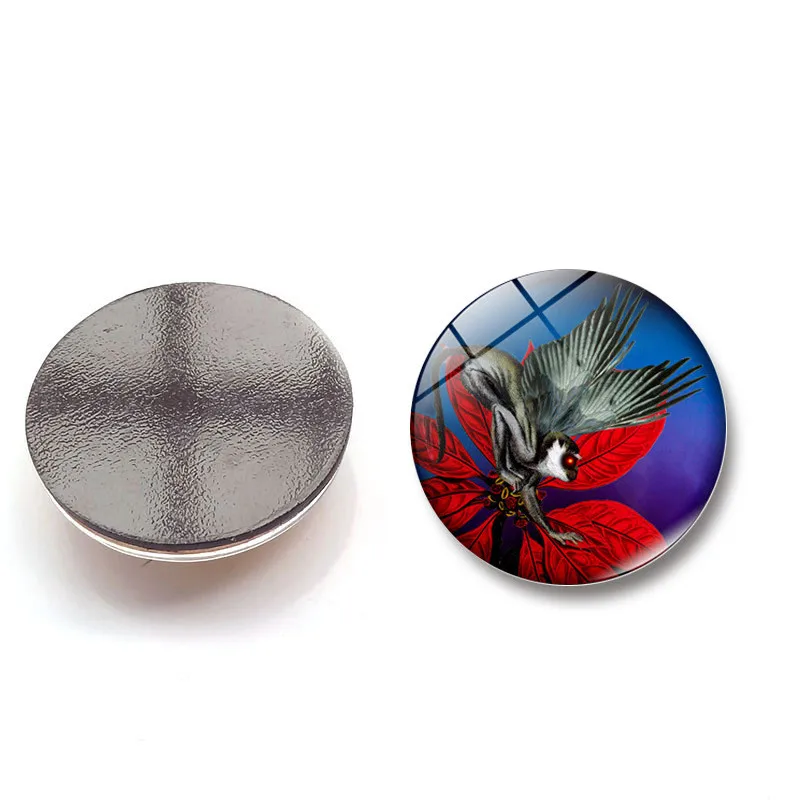 Time gem magnetic glass refrigerator Skeleton Glass Dome Glass Fridge Magnet refrigerator magnets Cabochon Stickers decor 6.17