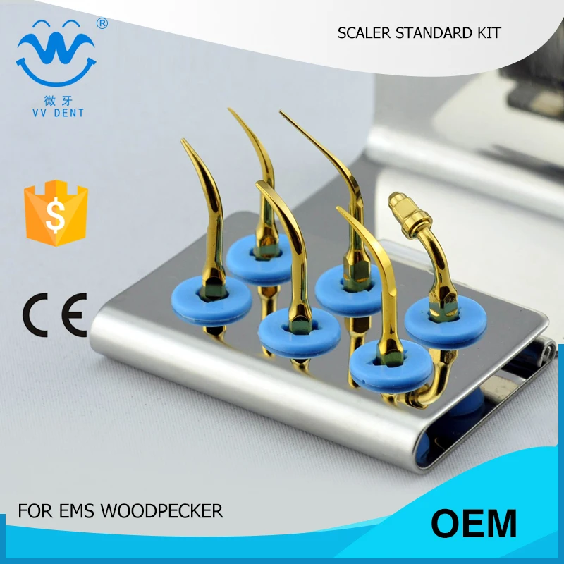 

2 PCS ESKG Scaler TIPS STANDARD KIT FOR TEETH SCALING PERIO TREATMENT AND ENDO TREATMENT WITH Steribox FIT EMS WOODPECKER SCALER