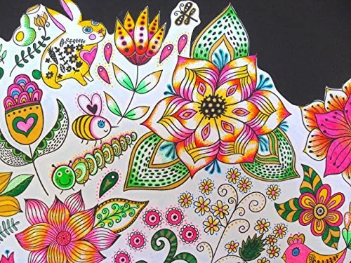 coloring-book-for-adults-Natural-Wonders-art-creative-books-free-shipping (3)