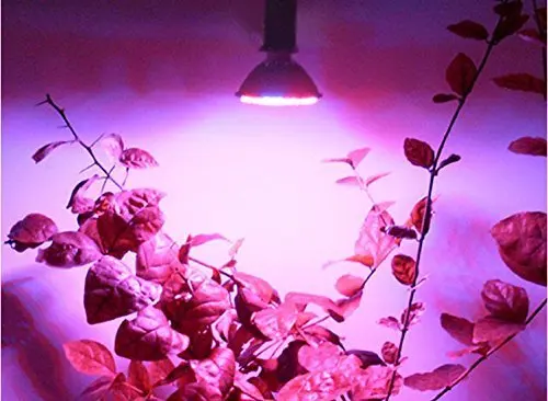 Светодиодный светильник для выращивания растений Bulb10W, лампа для выращивания E27, для помещений, для гидропоники, для водного сада, теплицы, медицинские растения, овощи, травы