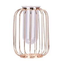 Клетка для птиц Керамика ваза цветочный горшок держатель Цветочная композиция украшения цветок стенд металлическая ваза декоративное украшение для дома