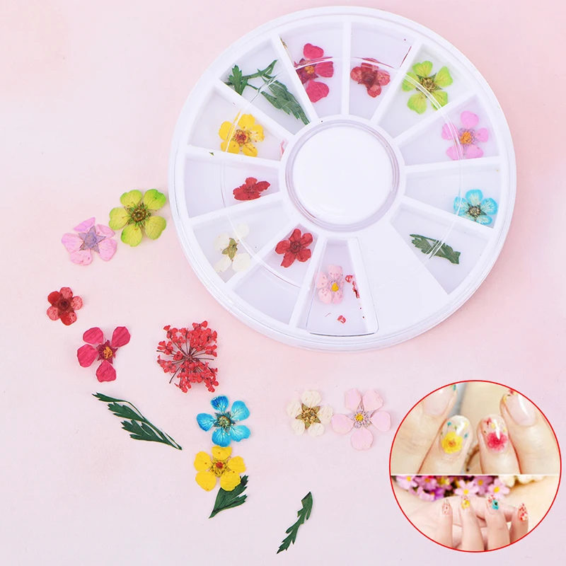 New 24Pcs/Wheel 3D Dried Flower Nail Art Decoration Mixed Manicure Polish Pressed Floral Leaf Nail Art Decorations