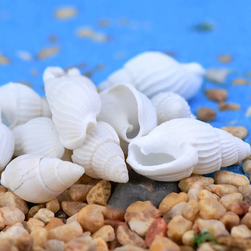 Sea 5PCS/Lot Small Bulk Ornaments Natural Shell Conch Coral Reef Starfish Beach Microlandschaft Home Decoration | Дом и сад