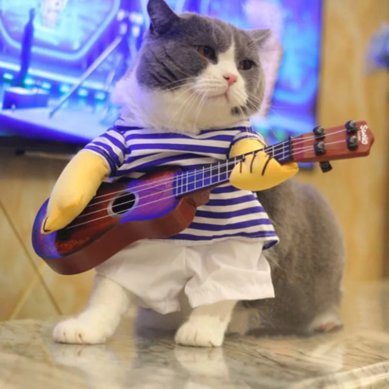 Drole Chat Vetements Costume T Shirt Guitare Rock Chanteur Cosplay Animaux Dags Pet Costume Vetements Veste Manteau Parti Vetements Pour Chat Aliexpress Drole Chat Vetements Costume T Shirt Guitare Rock Chanteur Cosplay Animaux Dags Pet Costume Vetements Veste Manteau Parti Vetements Pour Chat Aliexpress