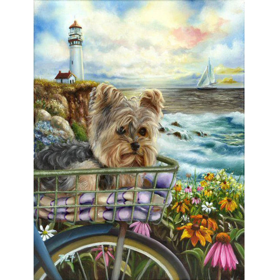 Yorkshire Terrier dog scenery