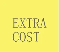 

EXTRA FEE FOR EXPRESS SHIPPING