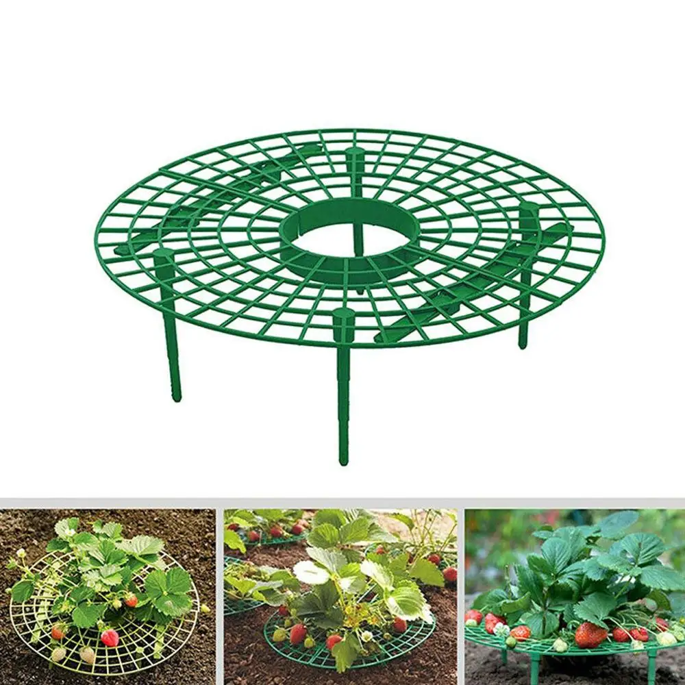 

5 sets of 30CM strawberry planting support mobile plants away from the soil to support strawberry rot in rainy days *D