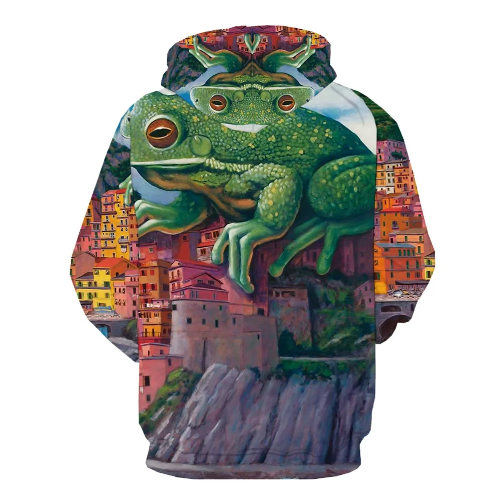 KYKU 3d Hoodies Frog Sweatshirts men Animal 3d Printed Castle Hoodie Print Mountain Hoody Anime Harajuku Sweatshirt Printed