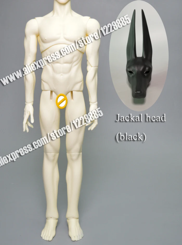 eden Jackal head