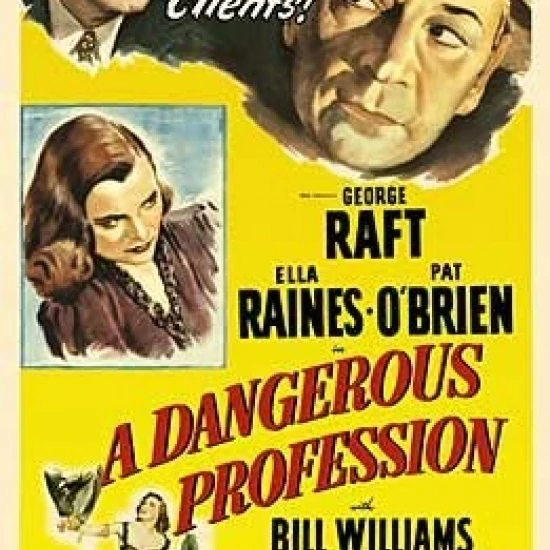 Dangerous Profession Movie Poster (27 x 40)