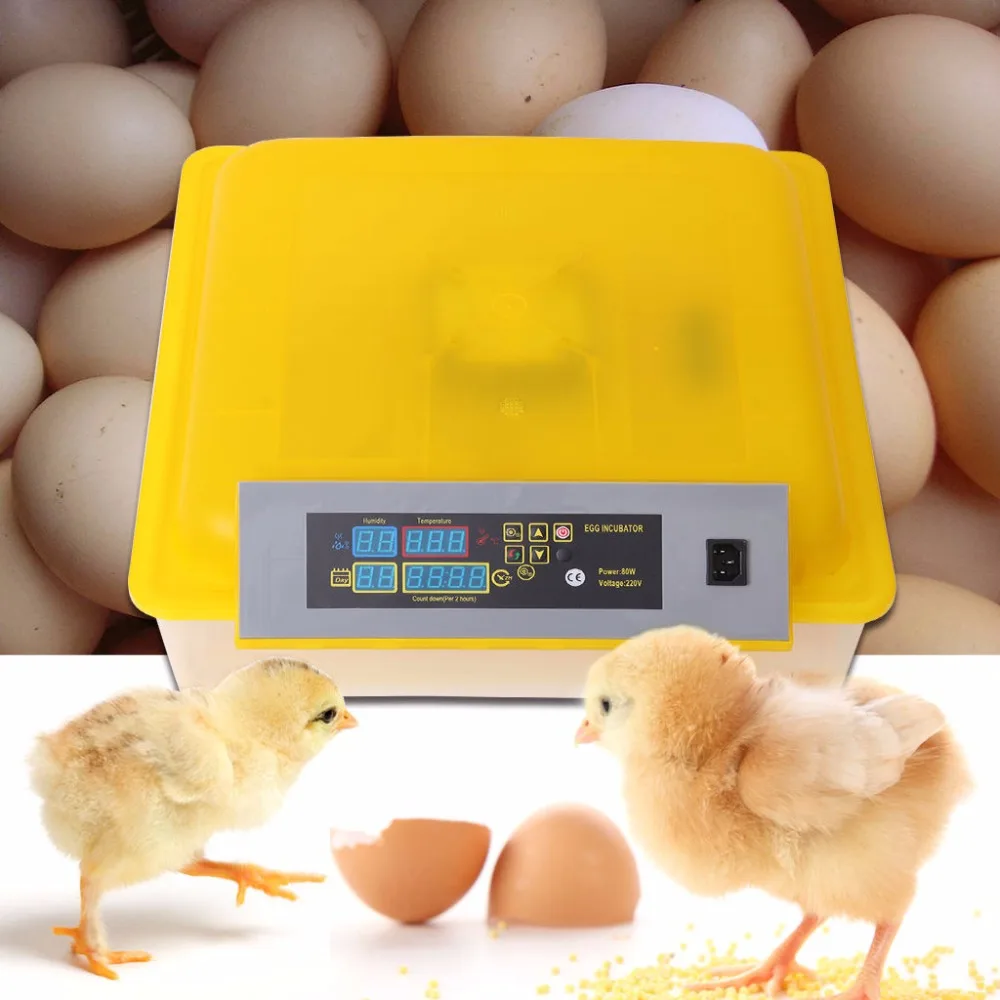 

(Ship from Germany) 48 Eggs Incubator Chicken Auto Turning Hatcher Temperature Humidity Gift