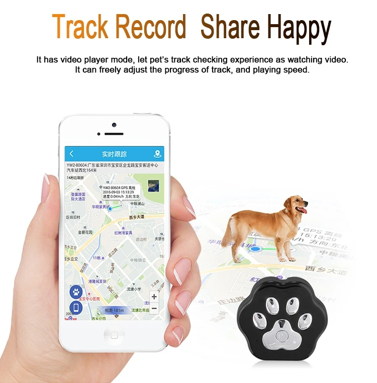 Pet Location Tracker with Quad GPS WIFI LBS GPRS Mode 4 LED Flashlight in Night Free APP Cloud Storage for Track Data Playback_F10