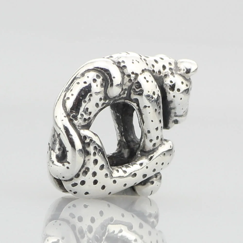 Leopard  (2)