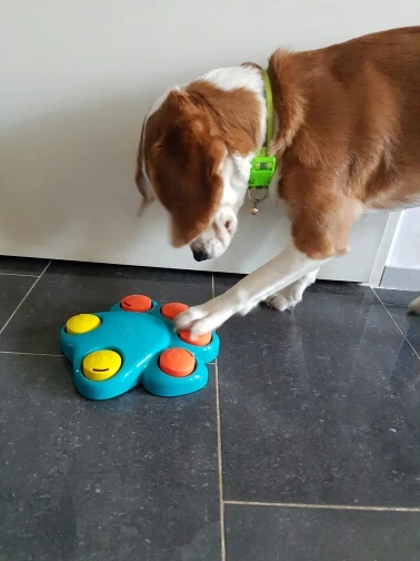 UT8x0NMXWhXXXagOFbXE