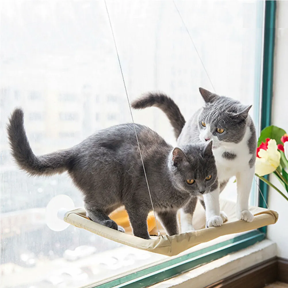 4 присоски Кошка Китти животное подвесная кровать коврик гамак окно навесное мягкое сиденье
