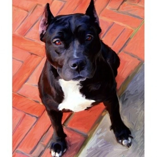 Blueberry Pit Bull Poster Print by Robert McClintock (13 x 19)