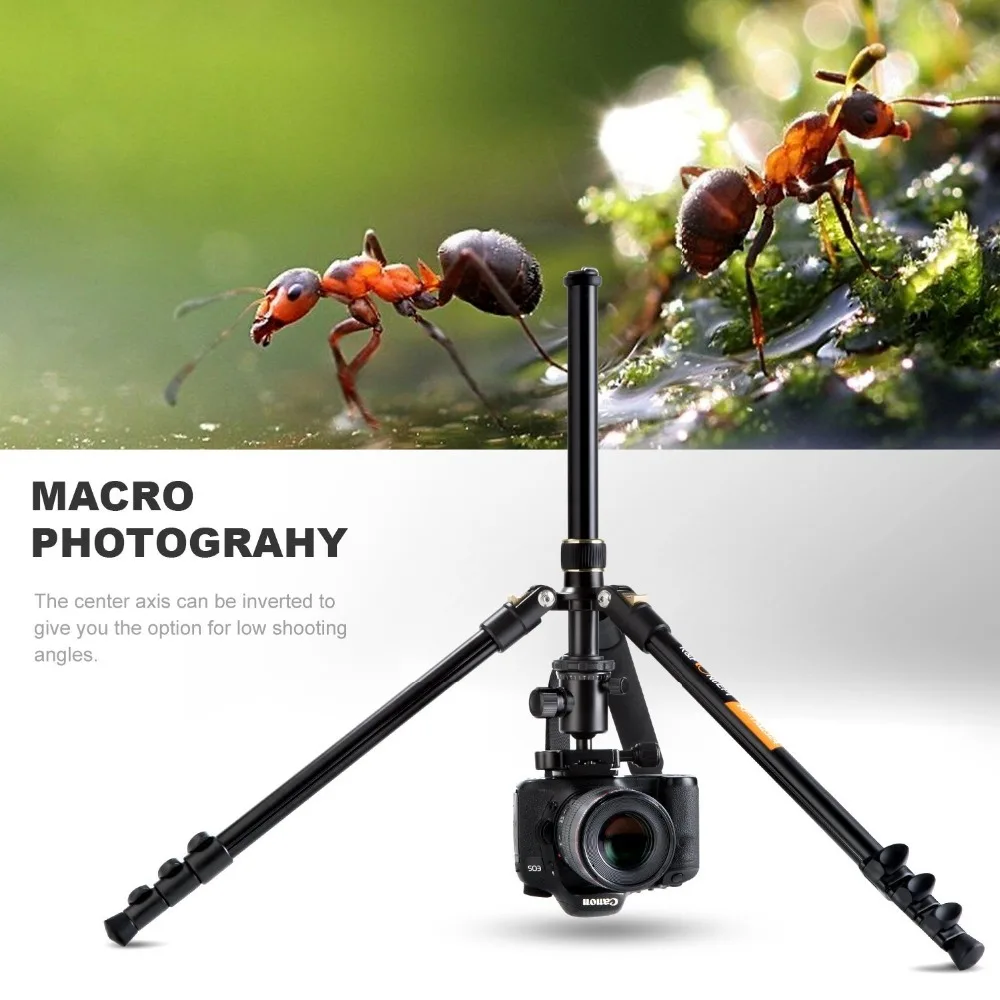 71AXoORetFL._SL1500_