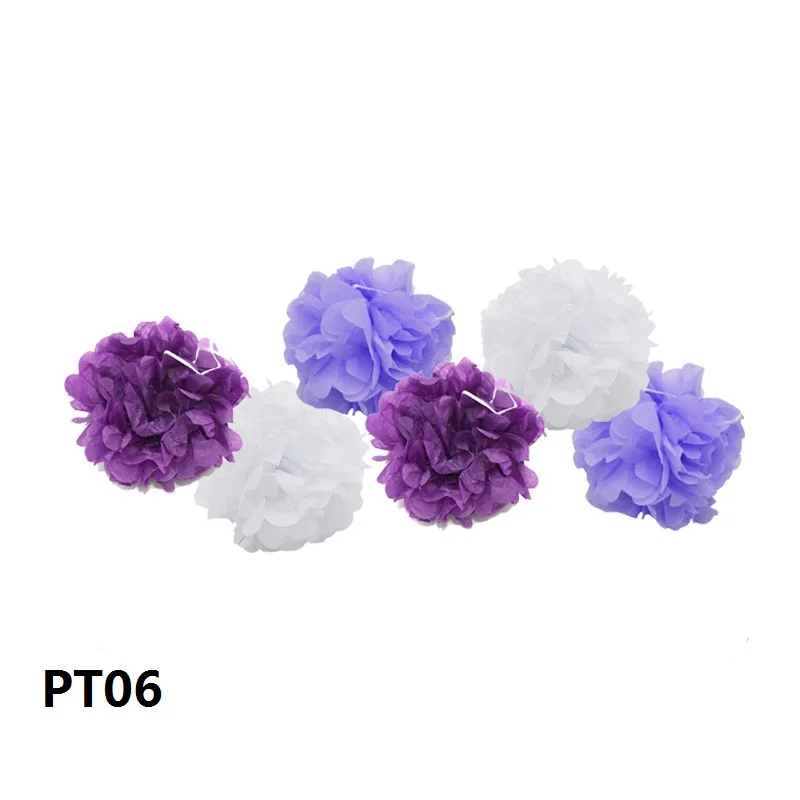 PT06
