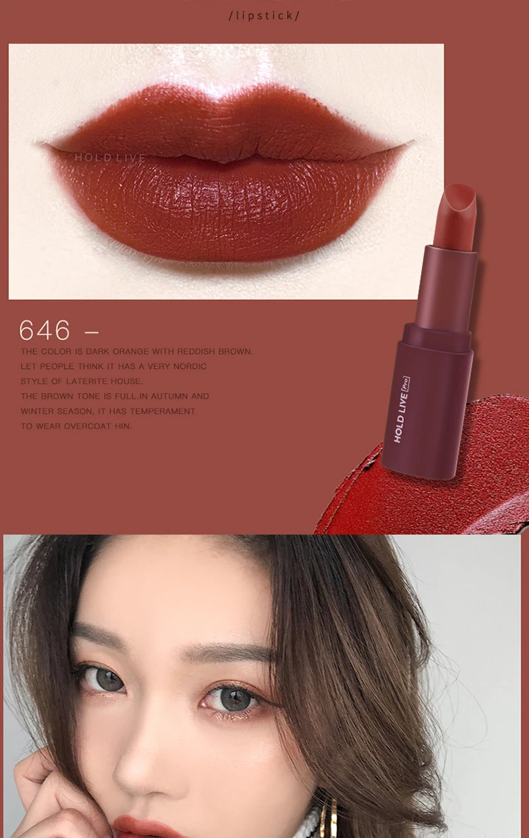 Brand HOLDLIVE 5Pcs Velvet Matte Lipstick Set (12)