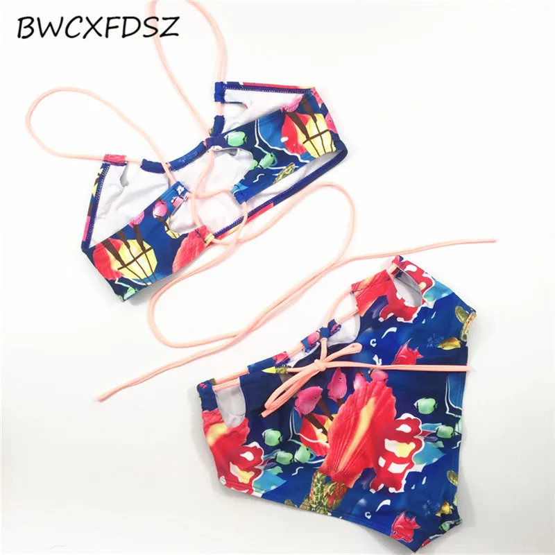 0C2E3607F5ED700342DB97CF6E57F91C_