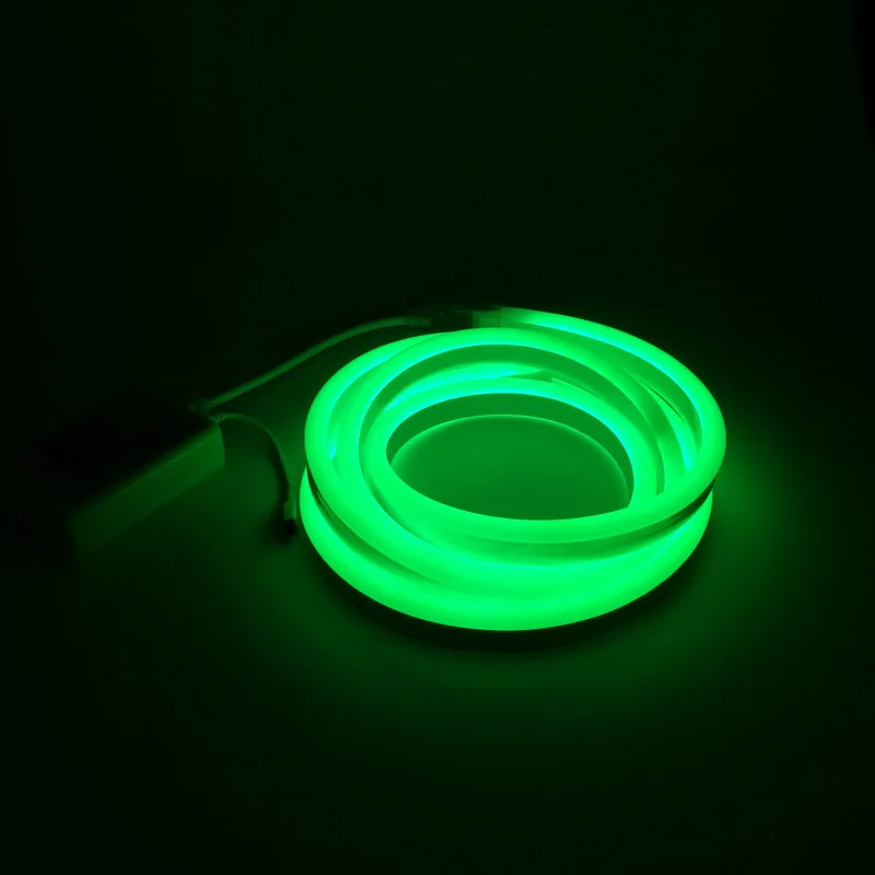 220v rgb neon strip 24keys g