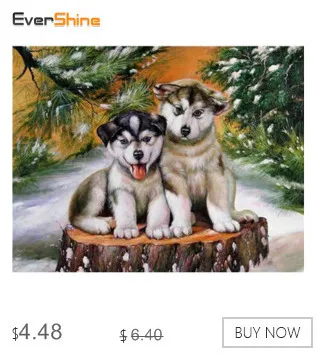 EverShine Diamond Painting Animals Diamond Embroidery Sale Full Square Rhinestones Dog Pictures Of Rhinestones Diamond Mosaic