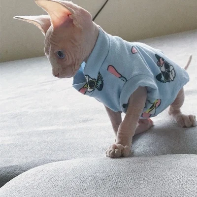 TB2OCFPHwaTBuNjSszfXXXgfpXa_!!0-rate.jpg_400x400