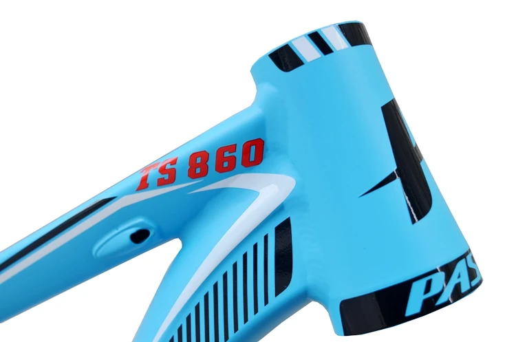 TS860 (4)