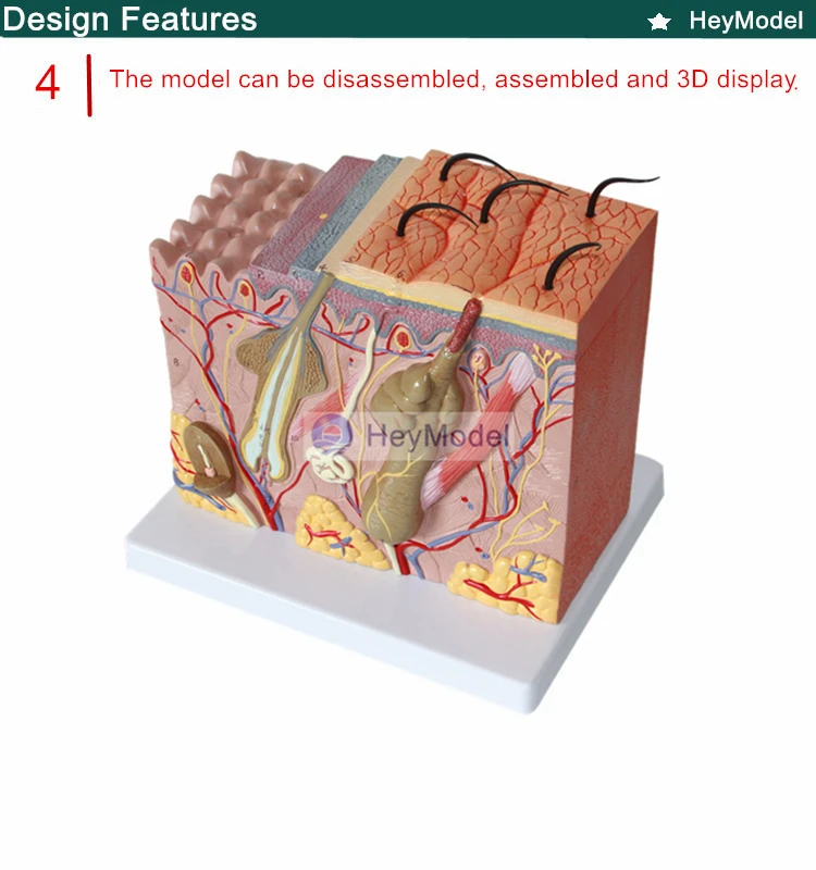 4 _