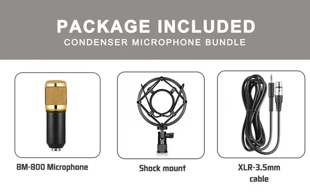 BM 800 Condenser Microphone 1