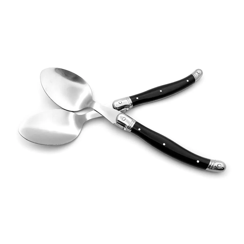 Black dinner spoon set  (4)
