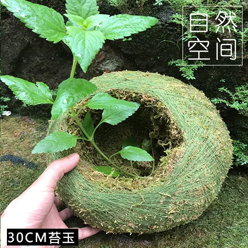 Kokedama моховые шары японский мох шар с Мохом семена личности небольшой вентилируемый цветочный горшок для орхидеи и бонсай - Цвет: 25cm