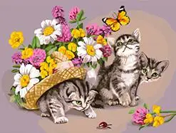 MaHuaf-W180 cats and butterfly beside flower DIY oil Painting By Numbers on canvas hand painted digital wall art picture 
