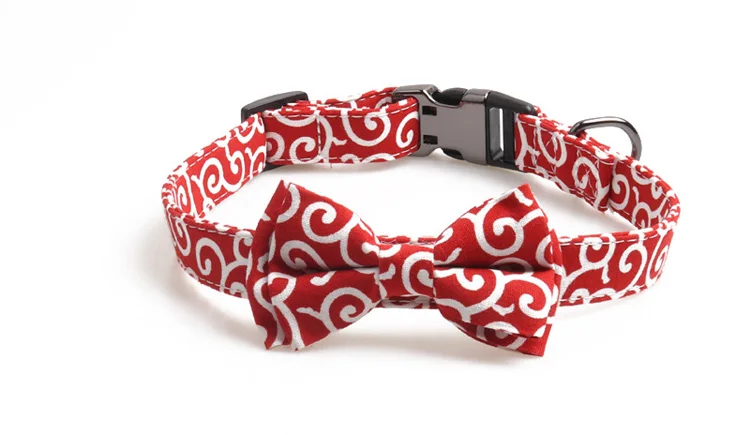 11346136143_307791824副本