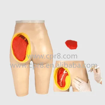 

BIX-H4T Advanced Hip Muscle Injection And Anatomical Structure Model MQ175