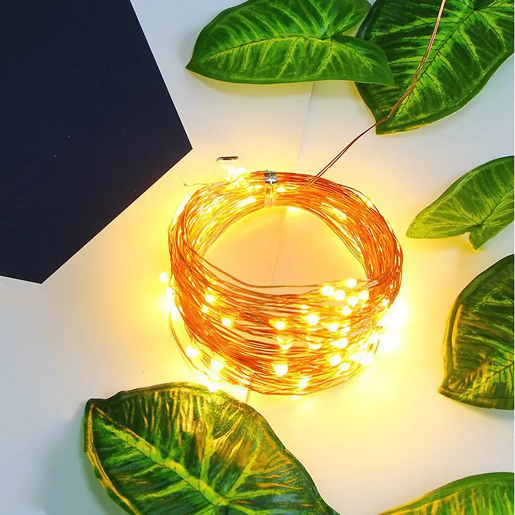 

2M 20 LED String Plum Copper Wire Fairy Lights Battery Xmas Party Decor Lamp Party Year Wedding Garden Decor Drop Shipping