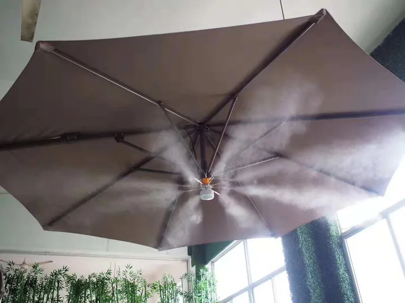 HTB1P1v7X5YrK1Rjy0Fdq6ACvVXaH