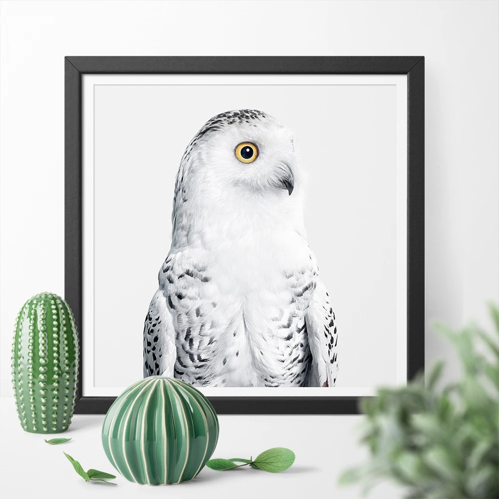 

A Clean and Pure Snowy Owl Art Canvas Poster Print Minimalistic Wall Art Bird Animal Canvas Paintings for Home Decor No Frame
