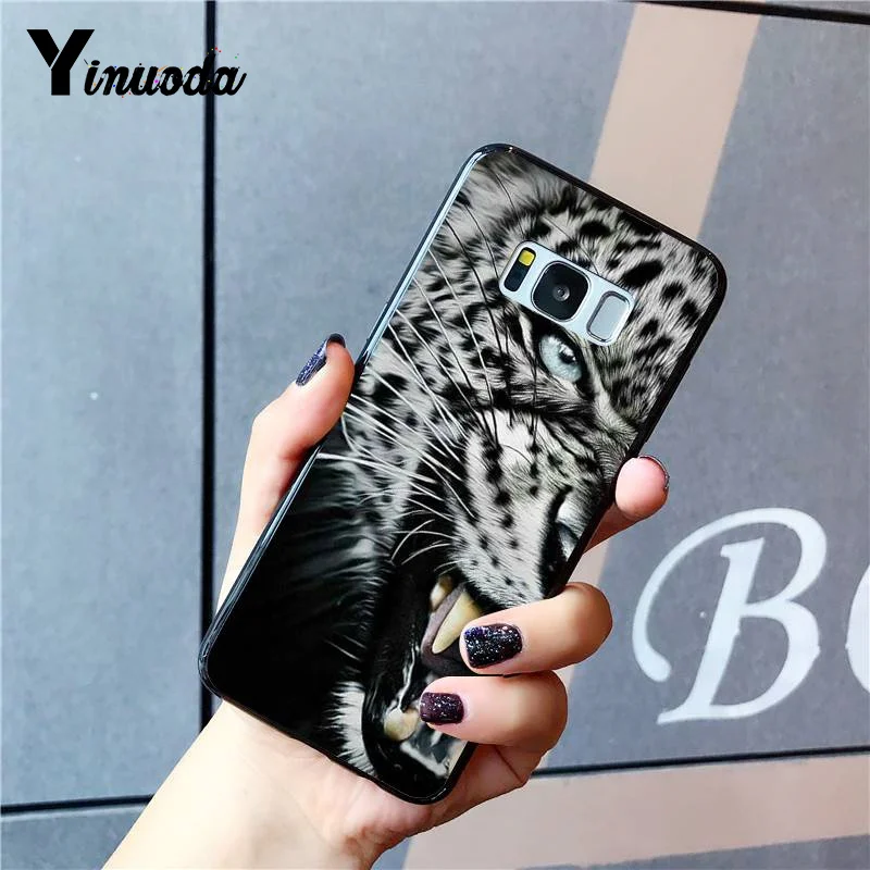 Russian version wolf tiger lion Leopard bear animal