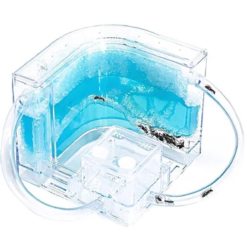 

Ant Farm Castle Experiment Toy Ants Habitat Educational Toy for Kids Children Learning Science Kit Insect Ecology Box New