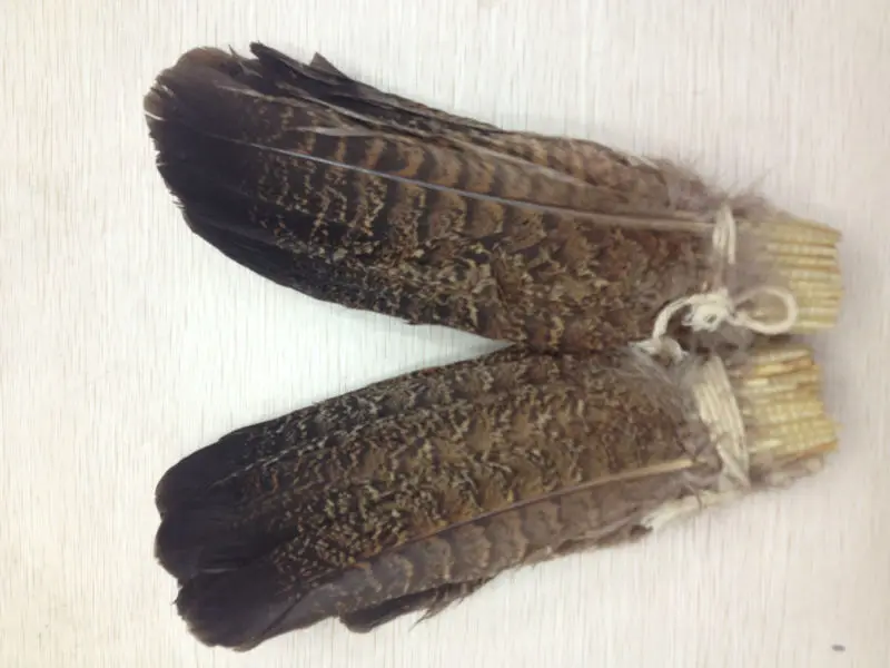 Высокое качество, 10 шт., пугающее Натуральное перо орла, 15-20 см/6-8nch, декоративное, сделай сам, собираем