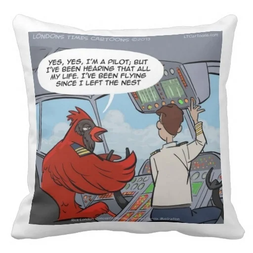 Cold Funny Cardinal Bird Flies Jumbo Jet Throw Pillow Case Size