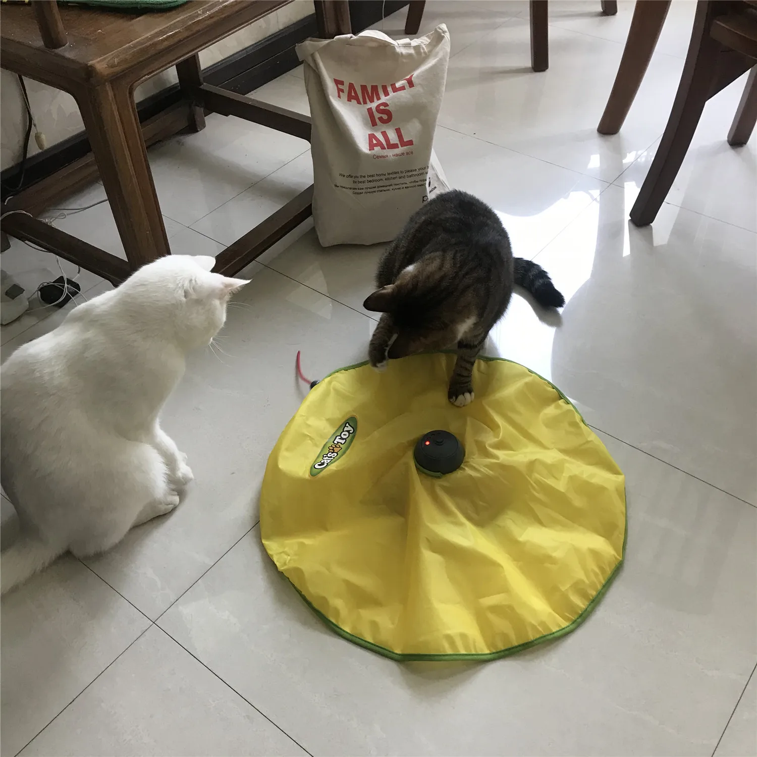 Funny Cat Play Plate Interactive Cat Toy Kitten Mouse Tail chasing Interactive Kitty Rat Toys Game As Seen on TV Funny Cat Play Plate Interactive Cat Toy Kitten Mouse Tail chasing Interactive Kitty Rat Toys Game As Seen on TV