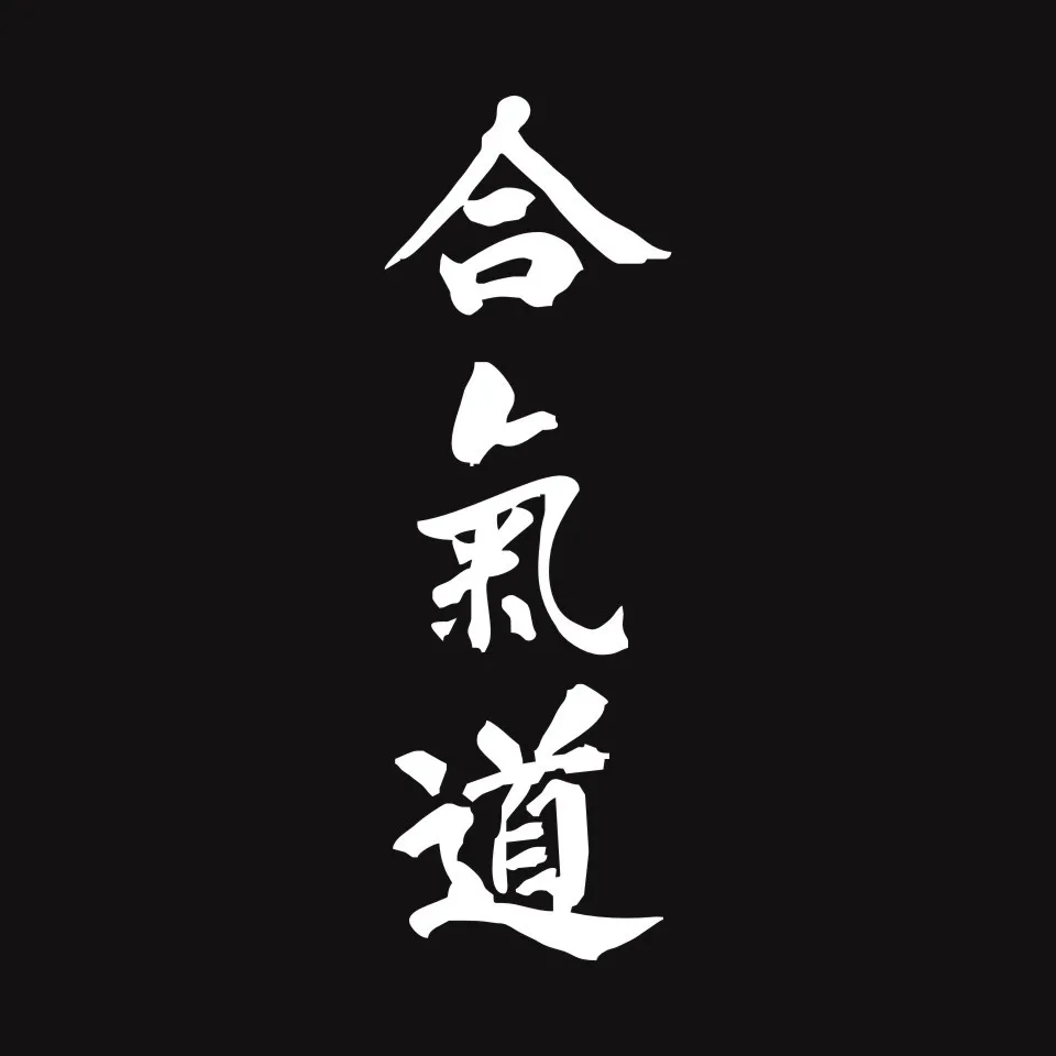Cunymagos AIKIDO Kanji Love Creative Car Body Decal Chinese Characters Car Styling Car Stickers Motorcycle Auto Sticker 515 (4)