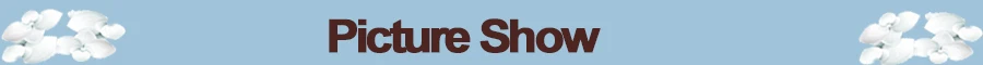 Picture show
